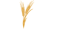 egybright
