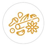 icon1